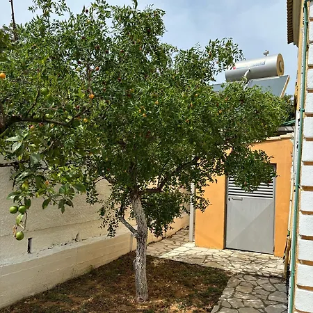 Lazaros Άγιος Ματθαίος